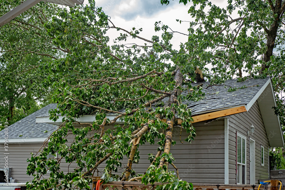 Weather Damage Restoration Services